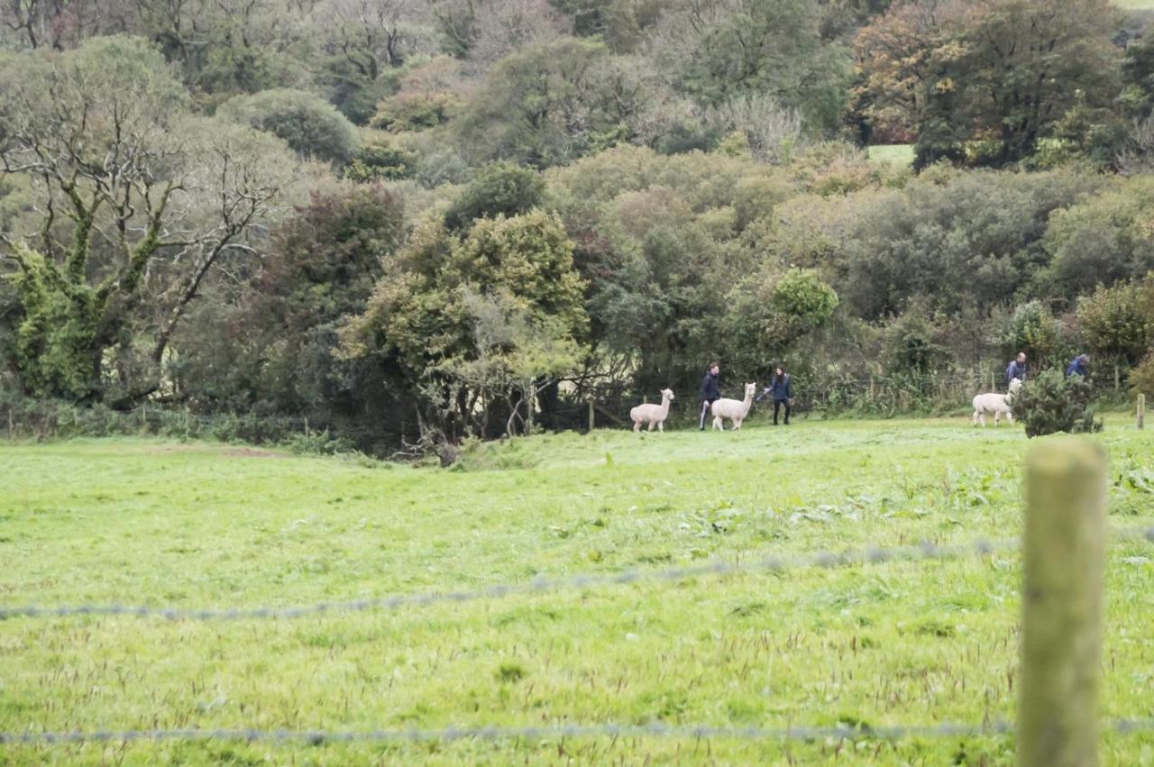 Orchard Cottage - Luxurious Barn Conversion - Beavers Hill Manorbier Esterno foto